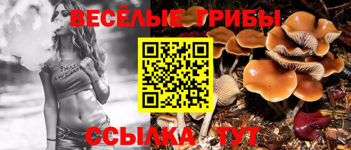 Галлюциногенные грибы Psilocybine cubensis  Вход с VPN  Тавда 
